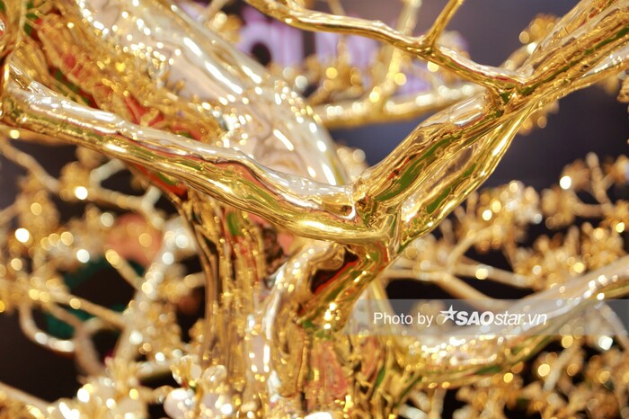Chiêm ngưỡng cây mai mạ vàng đón Tết trị giá 6 tỉ đồng, lớn nhất Việt Nam đang rầm rộ mấy ngày nay