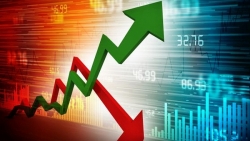 Tin nhanh chứng khoán ngày 30/1: VN-Index giảm điểm, thanh khoản tăng vọt