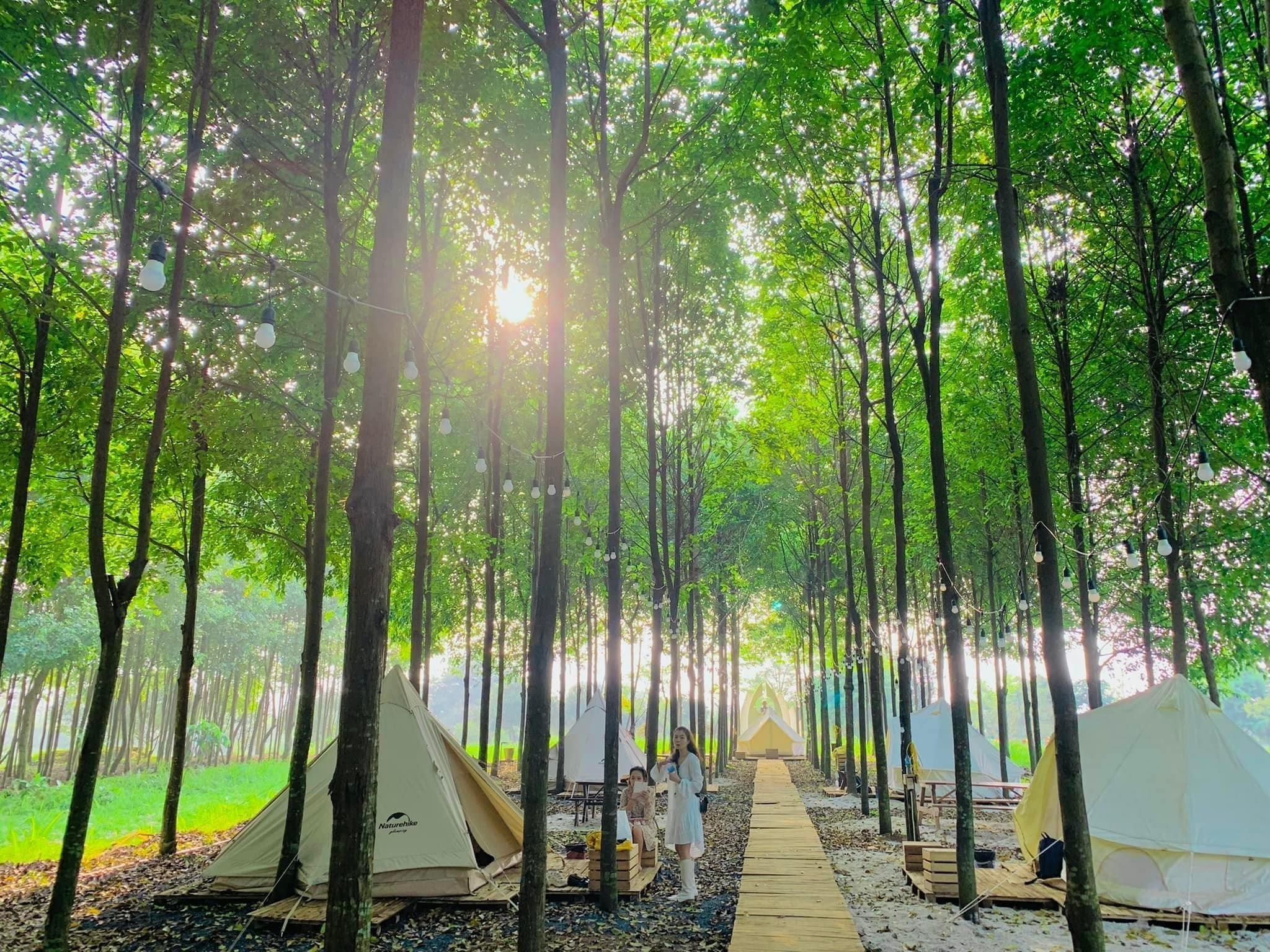 Cắm trại sang chảnh gần Hà Nội để 'đổi gió' dịp Tết Giáp Thìn 2024