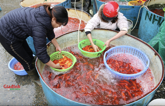 Sôi động thị trường đồ lễ cúng ông Công ông Táo