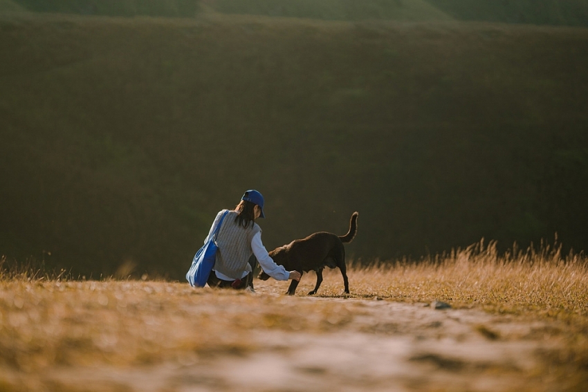 Về Cao Bằng mùa đông, lạc giữa cỏ cháy và những dòng sông xanh ngọc