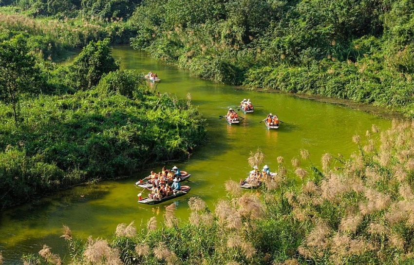 Mùa lau trắng Tràng An khung cảnh thơ mộng khiến du khách say lòng