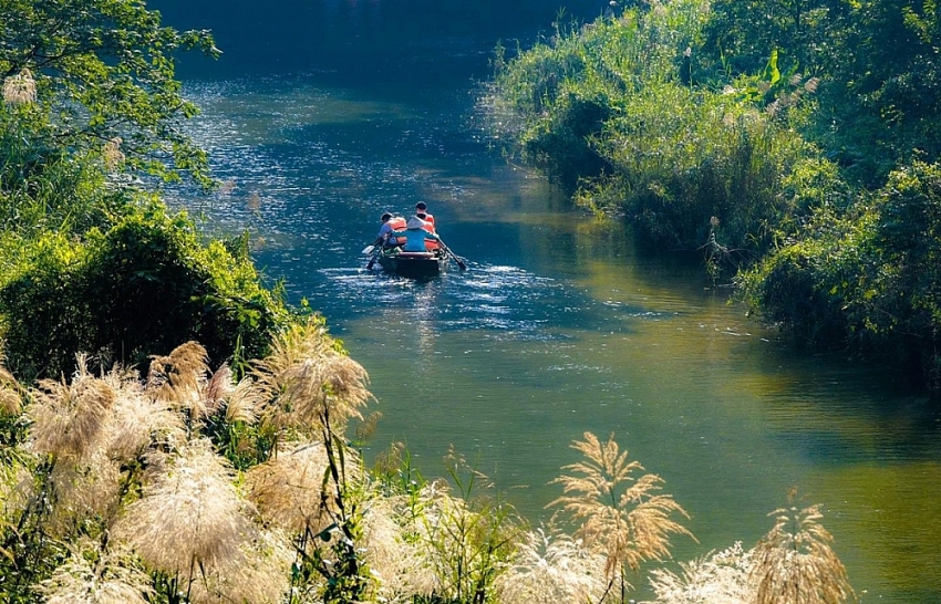 Mùa lau trắng Tràng An khung cảnh thơ mộng khiến du khách say lòng