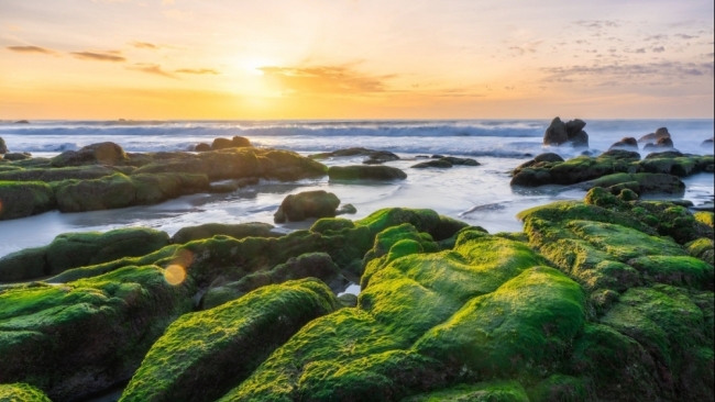 Cổ Thạch điểm dừng chân cho du khách thích không gian yên tĩnh