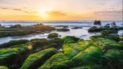 Cổ Thạch điểm dừng chân cho du khách thích không gian yên tĩnh