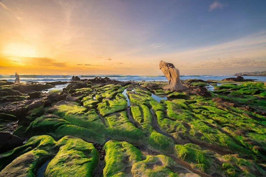 Không có Táo quân 2026, chương trình nào thay thế phát đêm giao thừa?