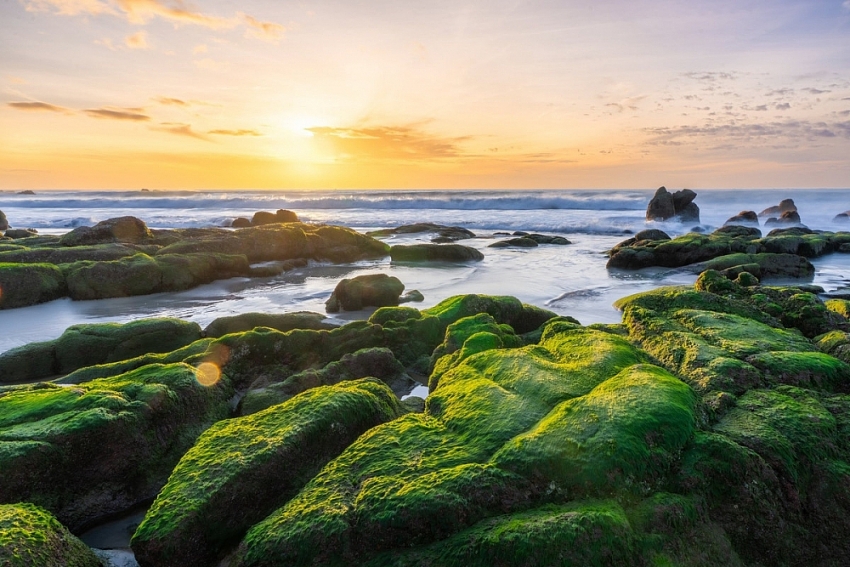 Không có Táo quân 2026, chương trình nào thay thế phát đêm giao thừa?