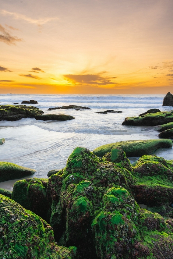 Không có Táo quân 2026, chương trình nào thay thế phát đêm giao thừa?