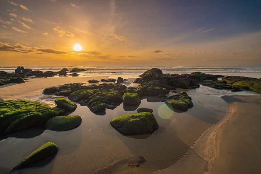 Không có Táo quân 2026, chương trình nào thay thế phát đêm giao thừa?