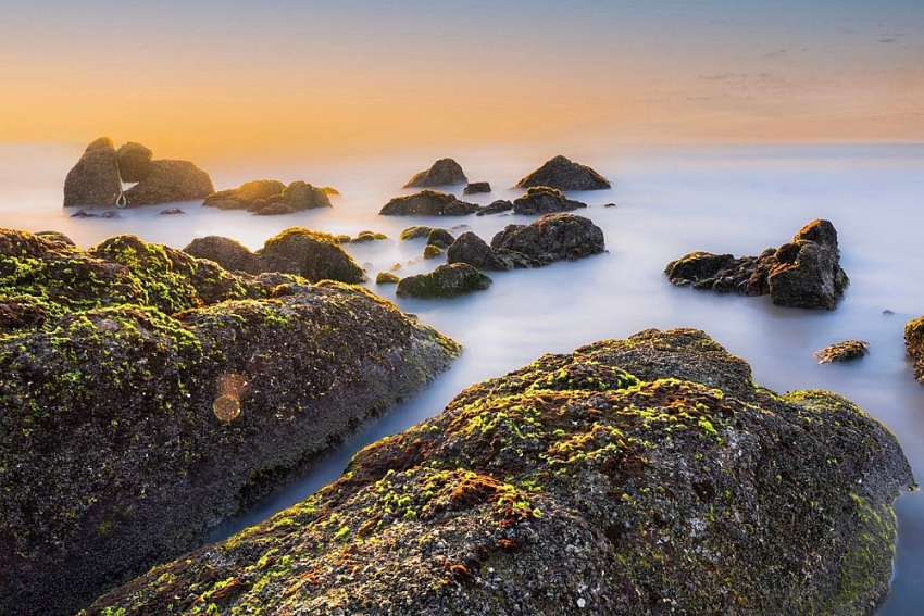 Không có Táo quân 2026, chương trình nào thay thế phát đêm giao thừa?