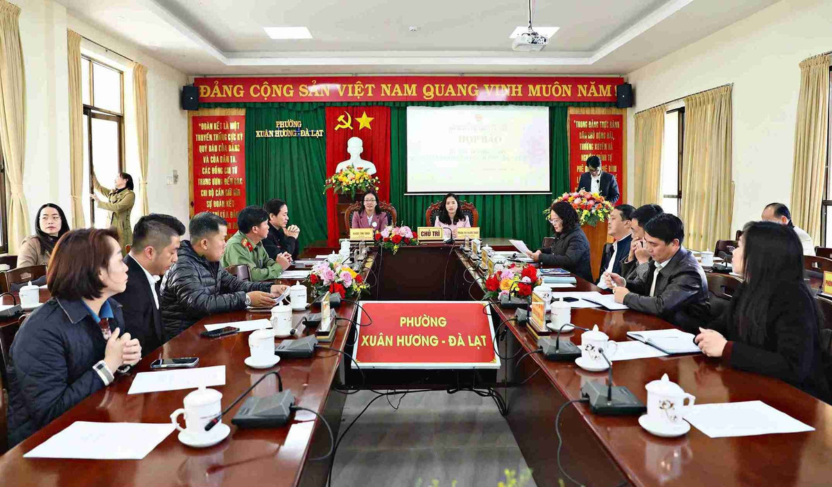 Lâm Đồng tổ chức Lễ hội Mai anh đào - Đà Lạt xuân 2026 kéo dài 20 ngày