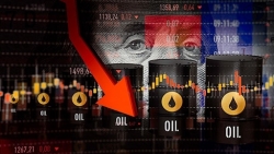 Thị trường dầu mỏ năm 2026: OPEC+ và bài toán thị phần