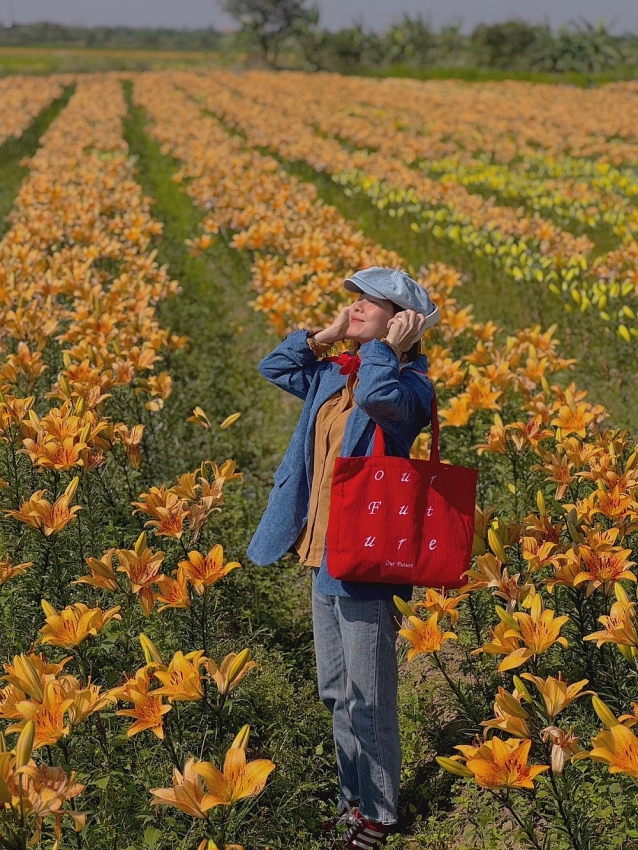 Cánh đồng hoa ly nở rộ ở Hải Phòng, hút du khách đến sống ảo Cánh đồng hoa ly nở rộ ở Hải Phòng, hút du khách đến sống ảo