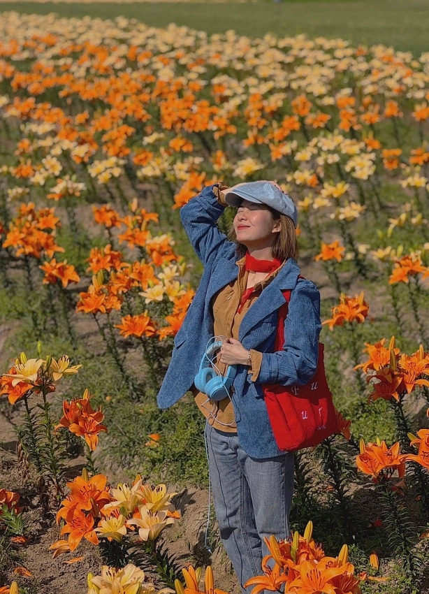 Cánh đồng hoa ly nở rộ ở Hải Phòng, hút du khách đến sống ảo Cánh đồng hoa ly nở rộ ở Hải Phòng, hút du khách đến sống ảo