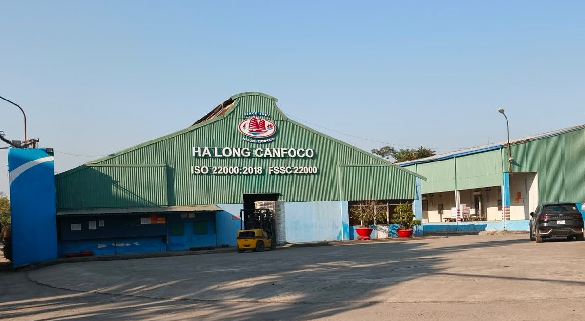 Bắt Tổng giám đốc Công ty cổ phần đồ hộp Hạ Long vụ thịt lợn nhiễm bệnh Bắt Tổng giám đốc Công ty cổ phần đồ hộp Hạ Long vụ thịt lợn nhiễm bệnh