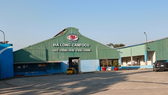 Bắt Tổng giám đốc Công ty cổ phần đồ hộp Hạ Long vụ thịt lợn nhiễm bệnh