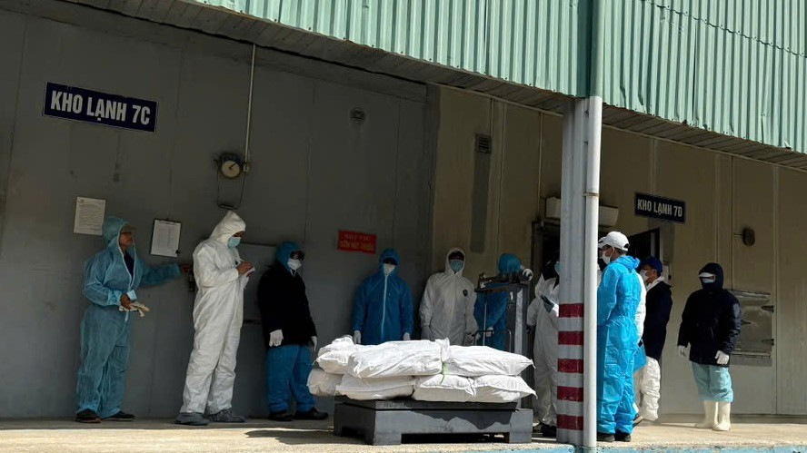 Hải Phòng rà soát toàn bộ sản phẩm Công ty CP đồ hộp Hạ Long