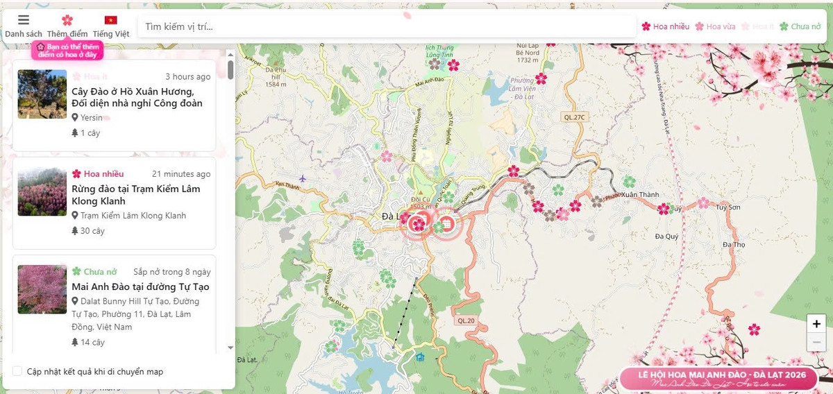 Đà Lạt ra mắt bản đồ số mai anh đào, du khách săn hoa theo thời gian thực