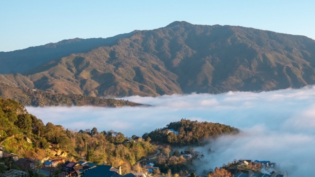 Lên Tà Xùa 'săn' biển mây bồng bênh, ngắm đào rừng khoe sắc