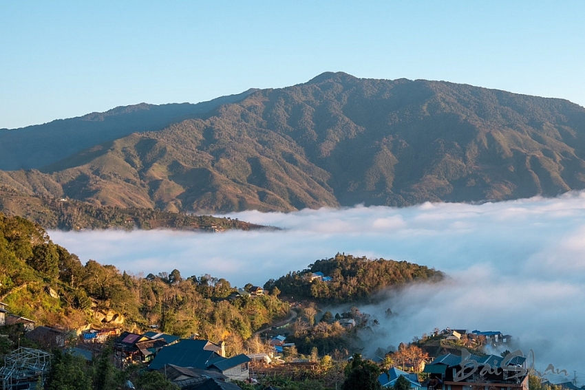 Lên Tà Xùa 'săn' biển mây bồng bênh, ngắm đào rừng khoe sắc
