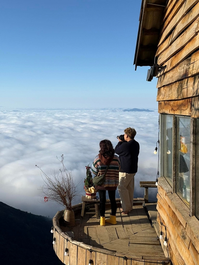 Lên Tà Xùa 'săn' biển mây bồng bênh, ngắm đào rừng khoe sắc