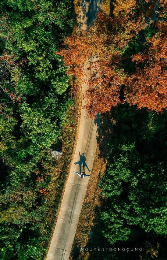 Rừng phong hương trước chùa cổ Hải Phòng hút khách dịp cuối năm