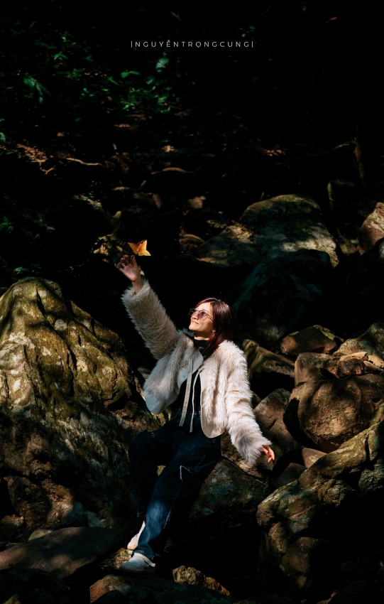 Rừng phong hương trước chùa cổ Hải Phòng hút khách dịp cuối năm