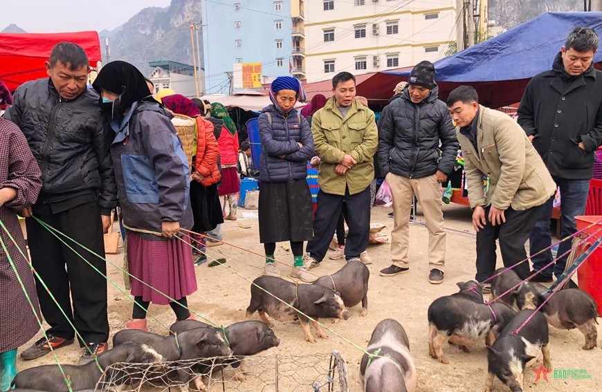 Chợ phiên Đồng Văn, điểm hẹn văn hóa thu hút du khách Chợ phiên Đồng Văn, điểm hẹn văn hóa thu hút du khách