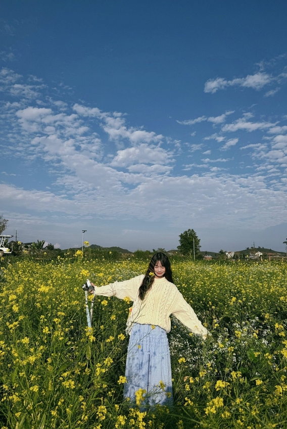 Ngắm hoa cải nhuộm vàng cao nguyên Mộc Châu, chọn tour nào cho trọn vẹn?