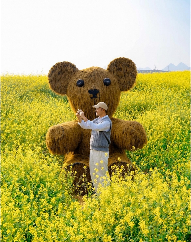 Ngắm hoa cải nhuộm vàng cao nguyên Mộc Châu, chọn tour nào cho trọn vẹn?