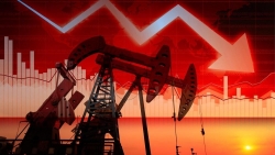 Giai đoạn tồi tệ nhất của thị trường dầu mỏ toàn cầu đã qua?