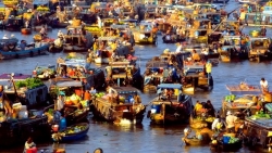 3 trải nghiệm ẩm thực nhất định phải thử khi du lịch Cần Thơ