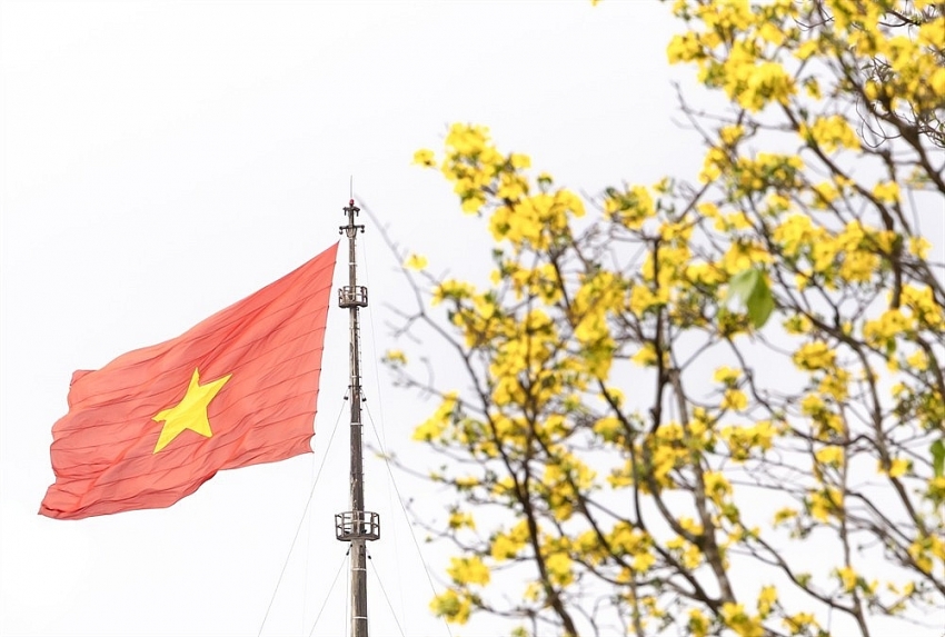 Check-in sắc mai vàng rực rỡ trước Đại Nội Huế Check-in sắc mai vàng rực rỡ trước Đại Nội Huế