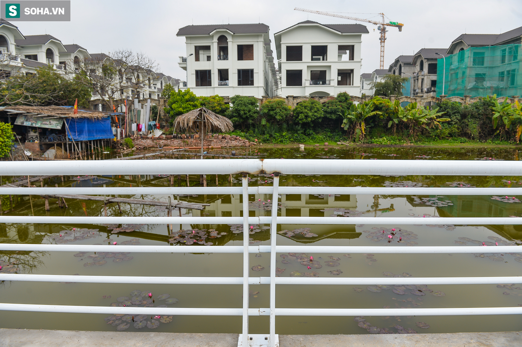Tuyến đường mới ven Hồ Tây hứa hẹn là điểm check in xịn xò nhất của giới trẻ Hà Nội