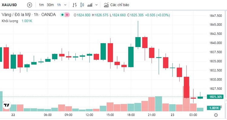 Giá vàng hôm nay 23/2: Vàng SJC tăng trở lại mốc 67,10 triệu đồng