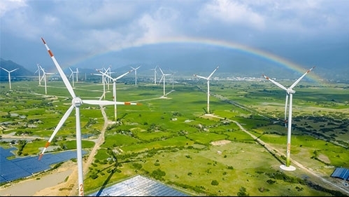 Điện gió ngoài khơi ở Việt Nam cần đột phá để thu hút đầu tư