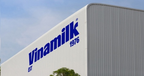 Vinamilk đang giữ gần 1 tỷ đô tiền mặt và tiền gửi ngân hàng