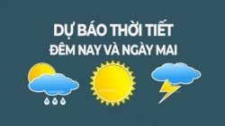 Dự báo thời tiết ngày mai (7/2): Bắc Bộ chuyển rét đậm, vùng núi rét hại; Trung Bộ mưa rào, cục bộ mưa to và giông; phía Nam ngày nắng