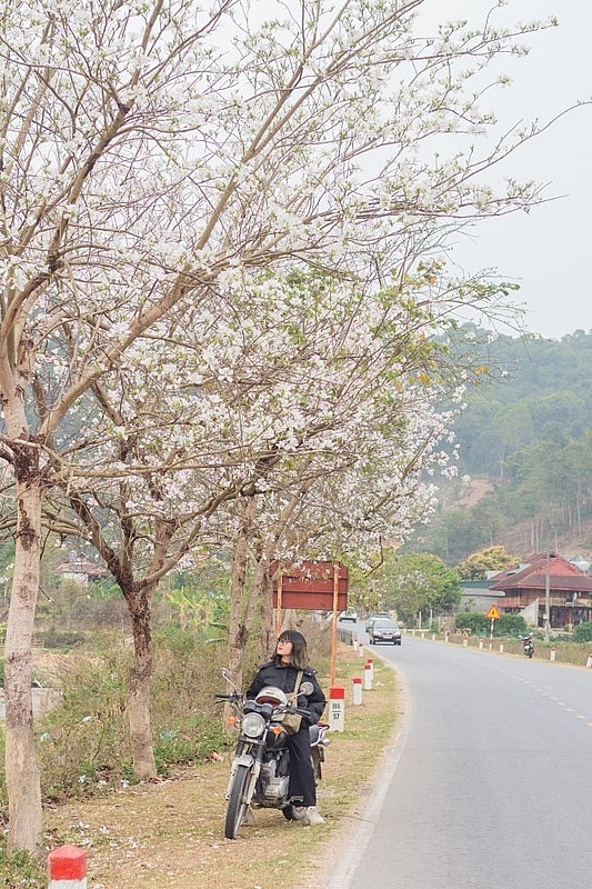 Tọa độ “sống ảo” giữa mùa hoa ban ở Điện Biên