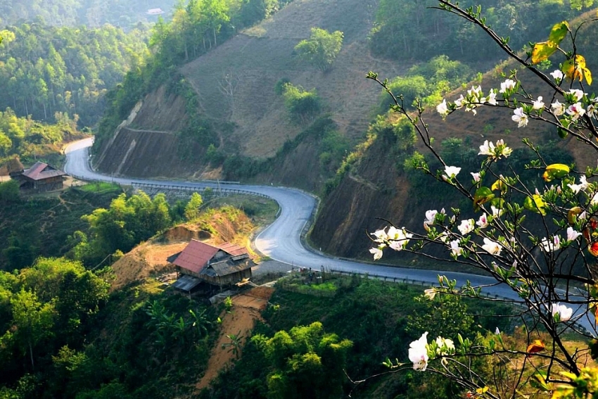 Tọa độ “sống ảo” giữa mùa hoa ban ở Điện Biên Tọa độ “sống ảo” giữa mùa hoa ban ở Điện Biên