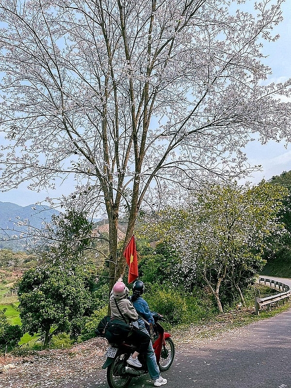 Tọa độ “sống ảo” giữa mùa hoa ban ở Điện Biên