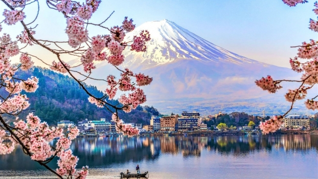 Lễ hội hoa anh đào dưới chân núi Phú Sĩ bị hủy vì quá tải du khách