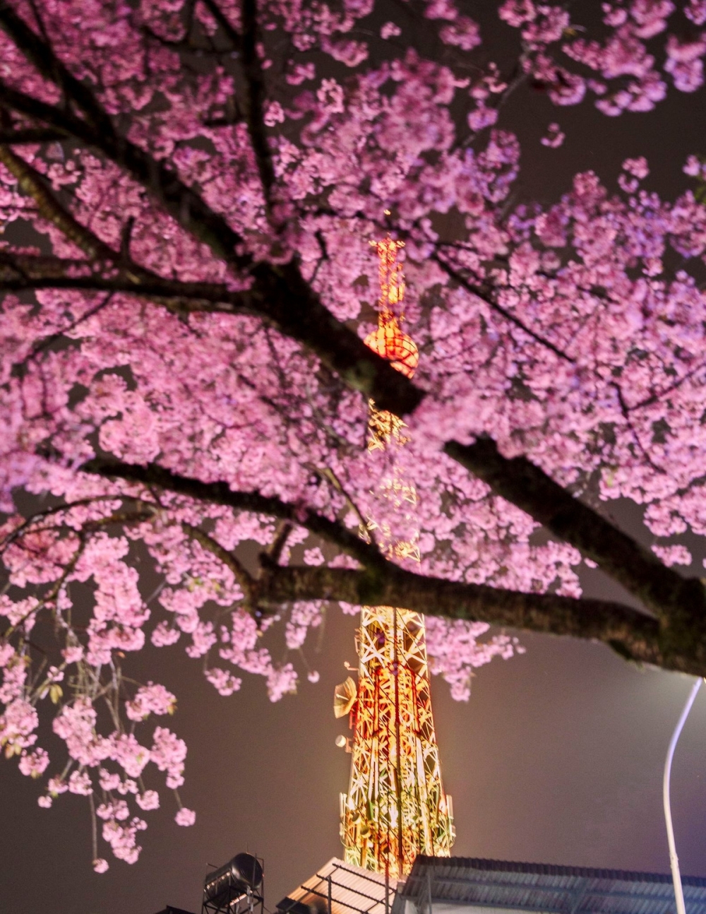 Góc Paris giữa lòng Đà Lạt khiến du khách mê mẩn