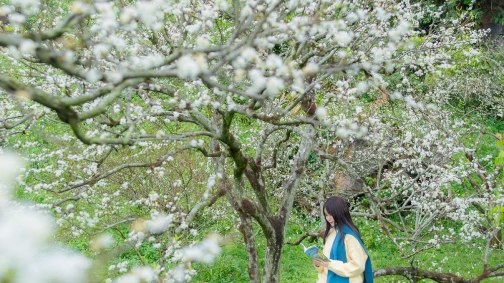 Gợi ý 5 điểm du xuân miền núi phía Bắc không thể bỏ lỡ