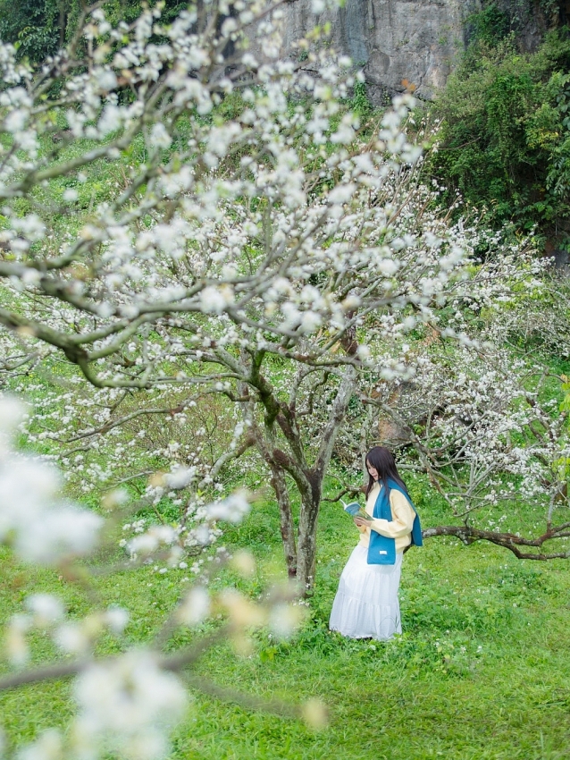 Gợi ý 5 điểm du xuân miền núi phía Bắc không thể bỏ lỡ