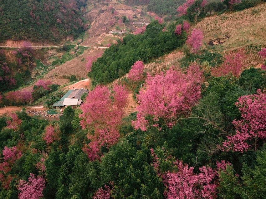 Gợi ý 5 điểm du xuân miền núi phía Bắc không thể bỏ lỡ