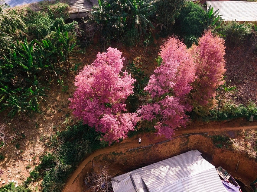 Gợi ý 5 điểm du xuân miền núi phía Bắc không thể bỏ lỡ