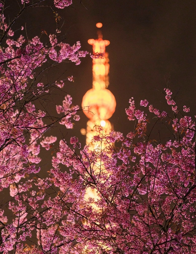 Góc Paris giữa lòng Đà Lạt khiến du khách mê mẩn