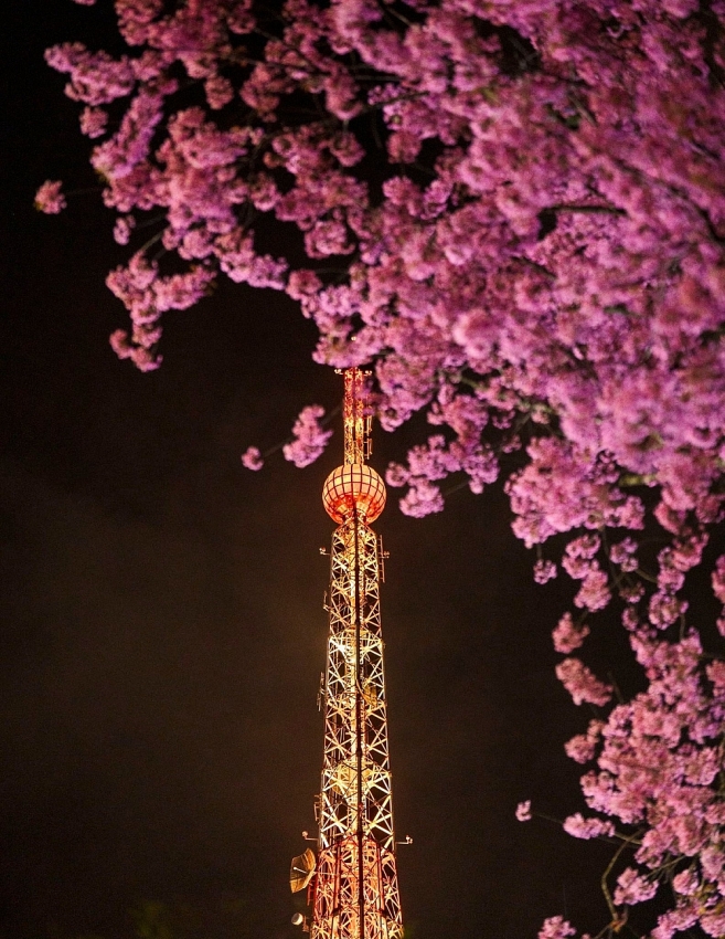 Góc Paris giữa lòng Đà Lạt khiến du khách mê mẩn