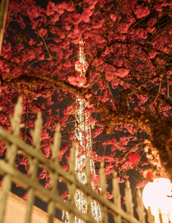 Góc Paris giữa lòng Đà Lạt khiến du khách mê mẩn